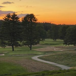 Meet your Posher, Liz